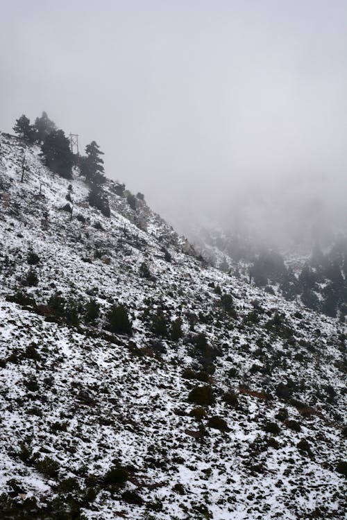 Kostenloses Stock Foto zu berg, kalt, landschaft