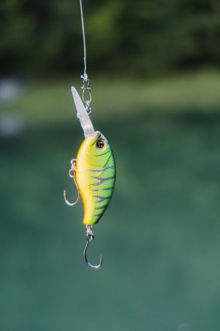 Choosing the Ideal Reel Type for Bass Fishing Success