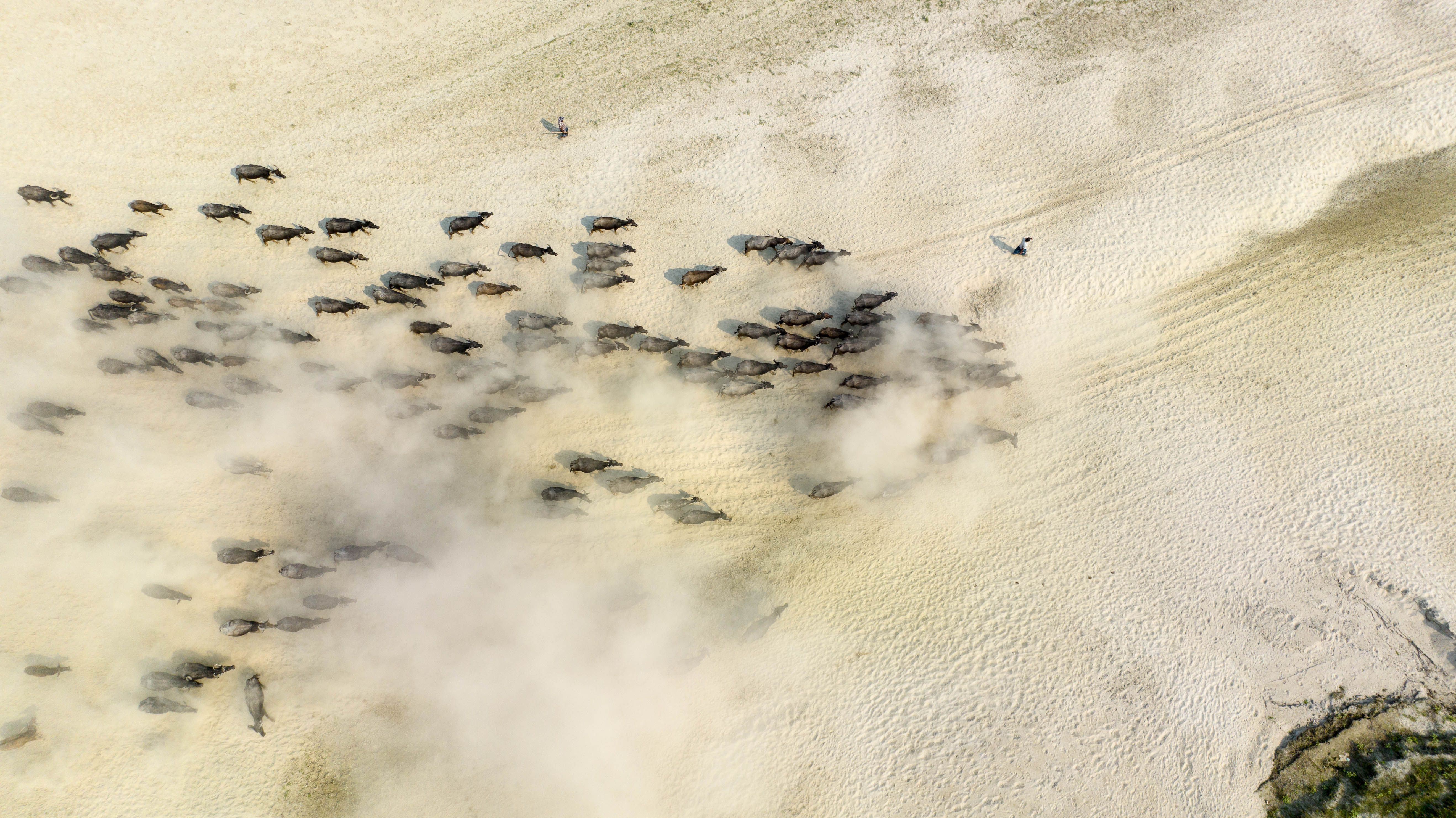 Stampede Drilling reports Q2 results