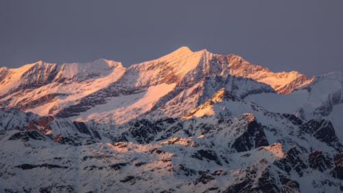 Fotobanka s bezplatnými fotkami na tému Alpy, broskyňa, broskyňový