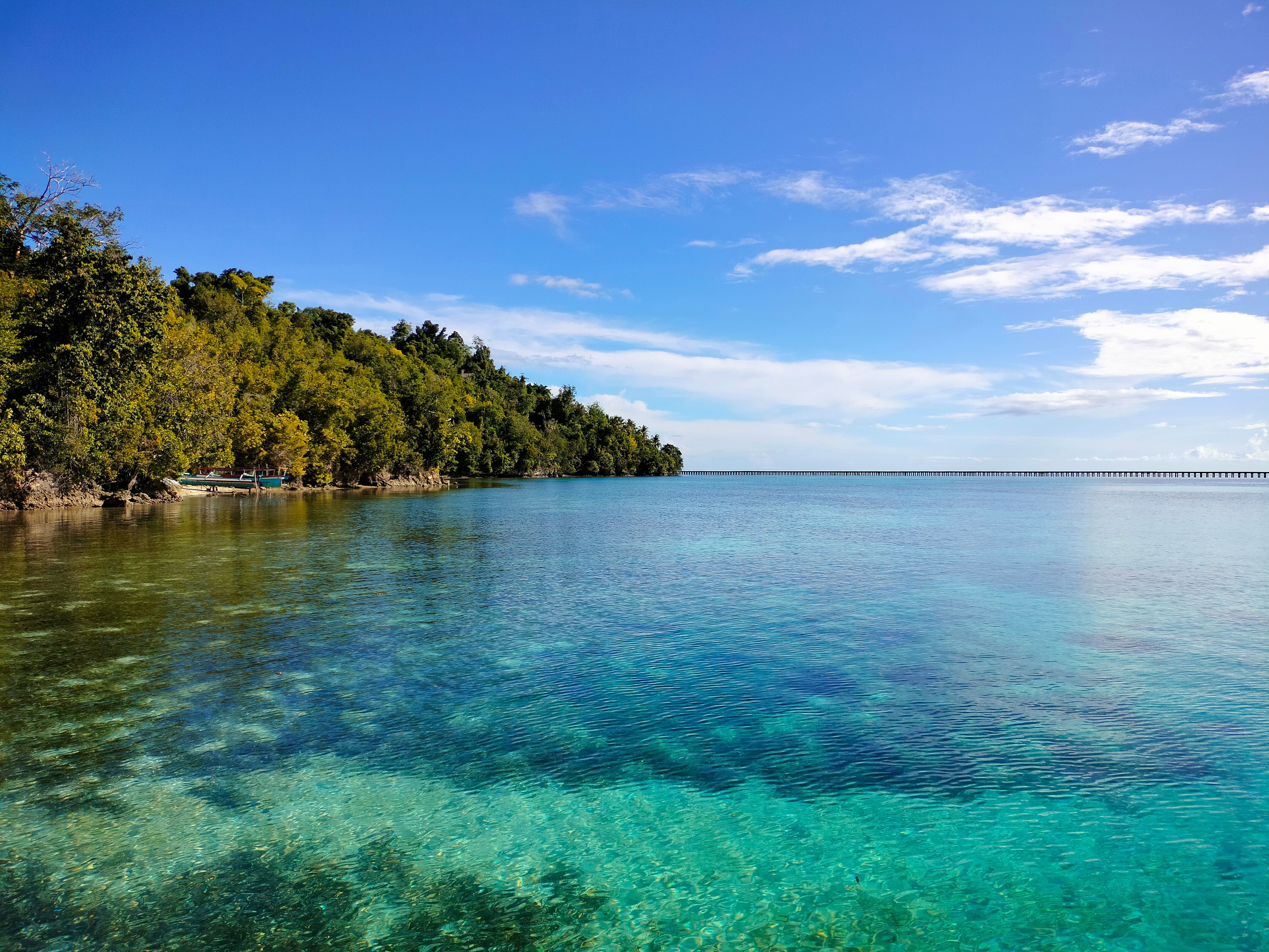 View of Turquoise Water and Trees on the Shore · Free Stock Photo
