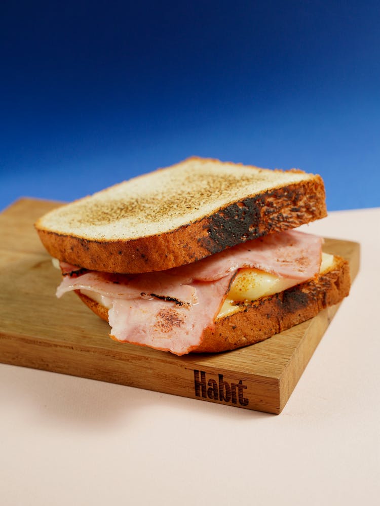 Toasted Sandwich With Ham And Cheese