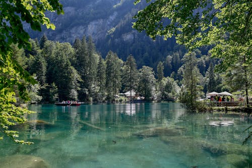 Free View of the Blausee in Bernese Oberland, Kandergrund, Switzerland Stock Photo