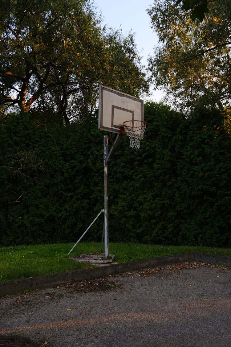 Backyard Basketball Hoop