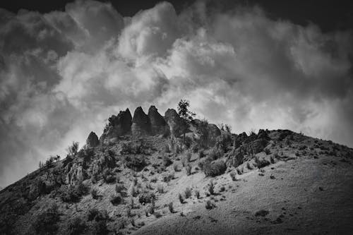 Free stock photo of black and white, landscape, moody