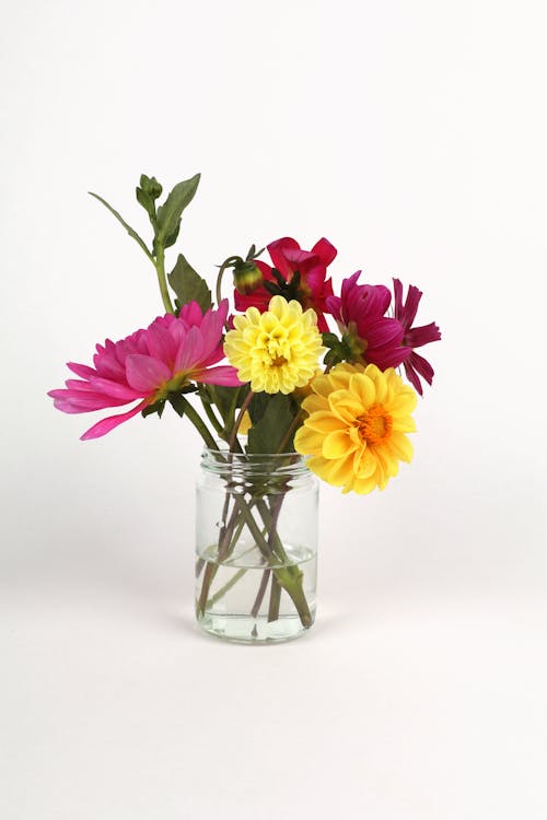 Flowers in Vase with Water