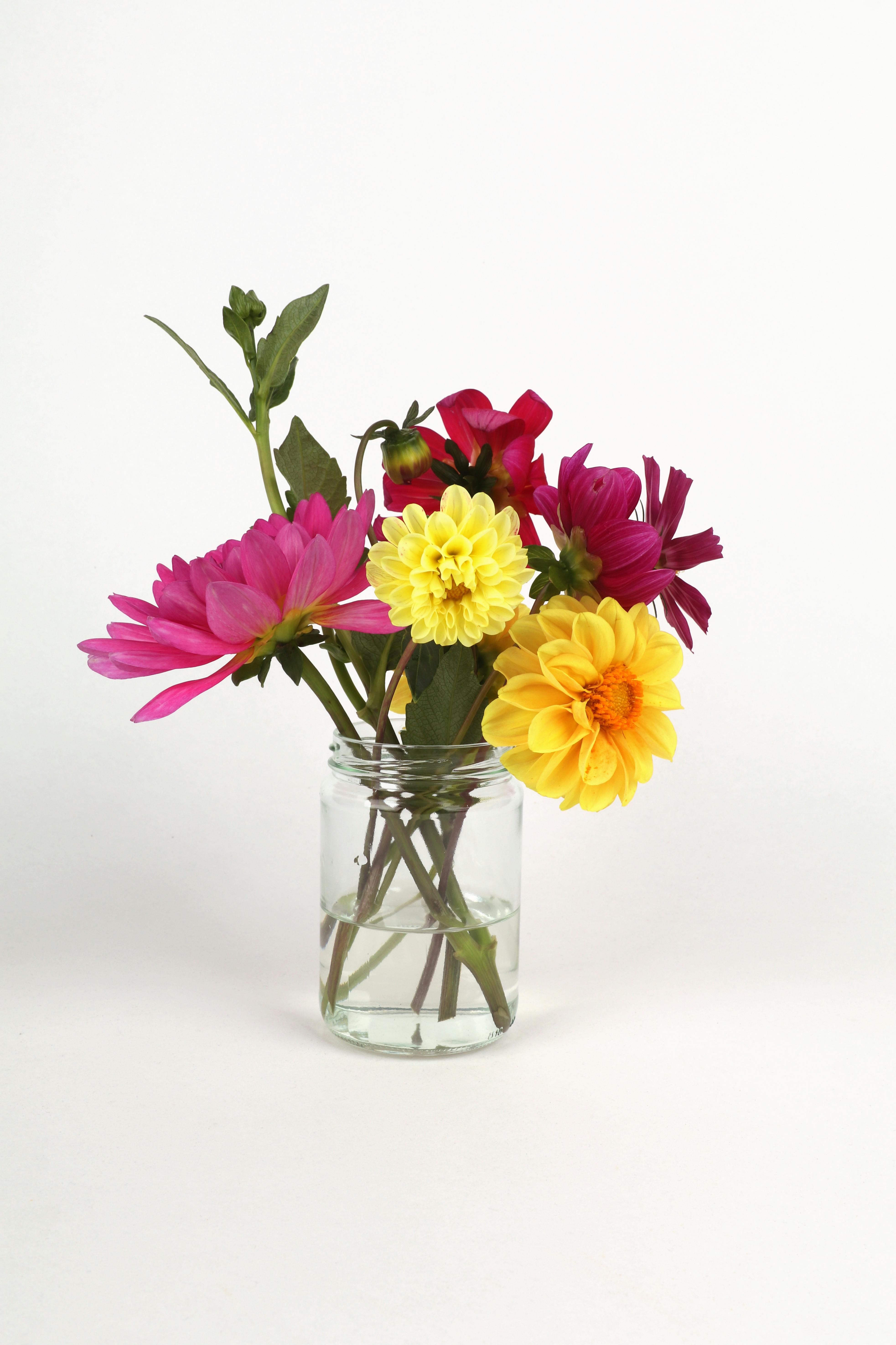 Flowers in Vase with Water · Free Stock Photo