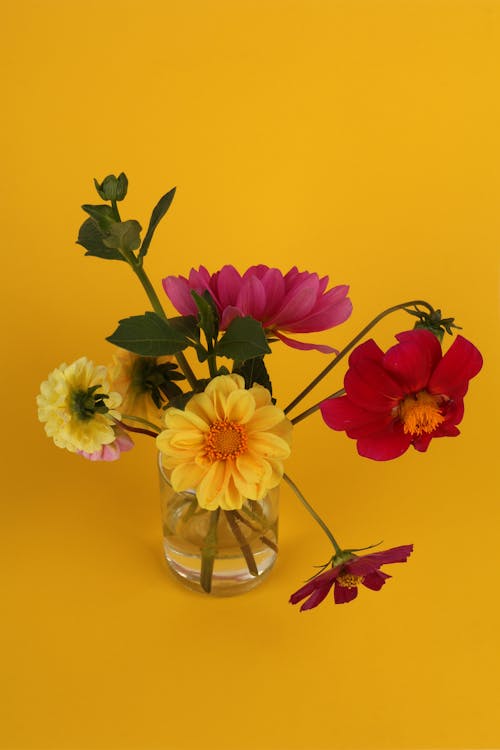 A Bouquet of Colorful Flowers on Yellow Background 