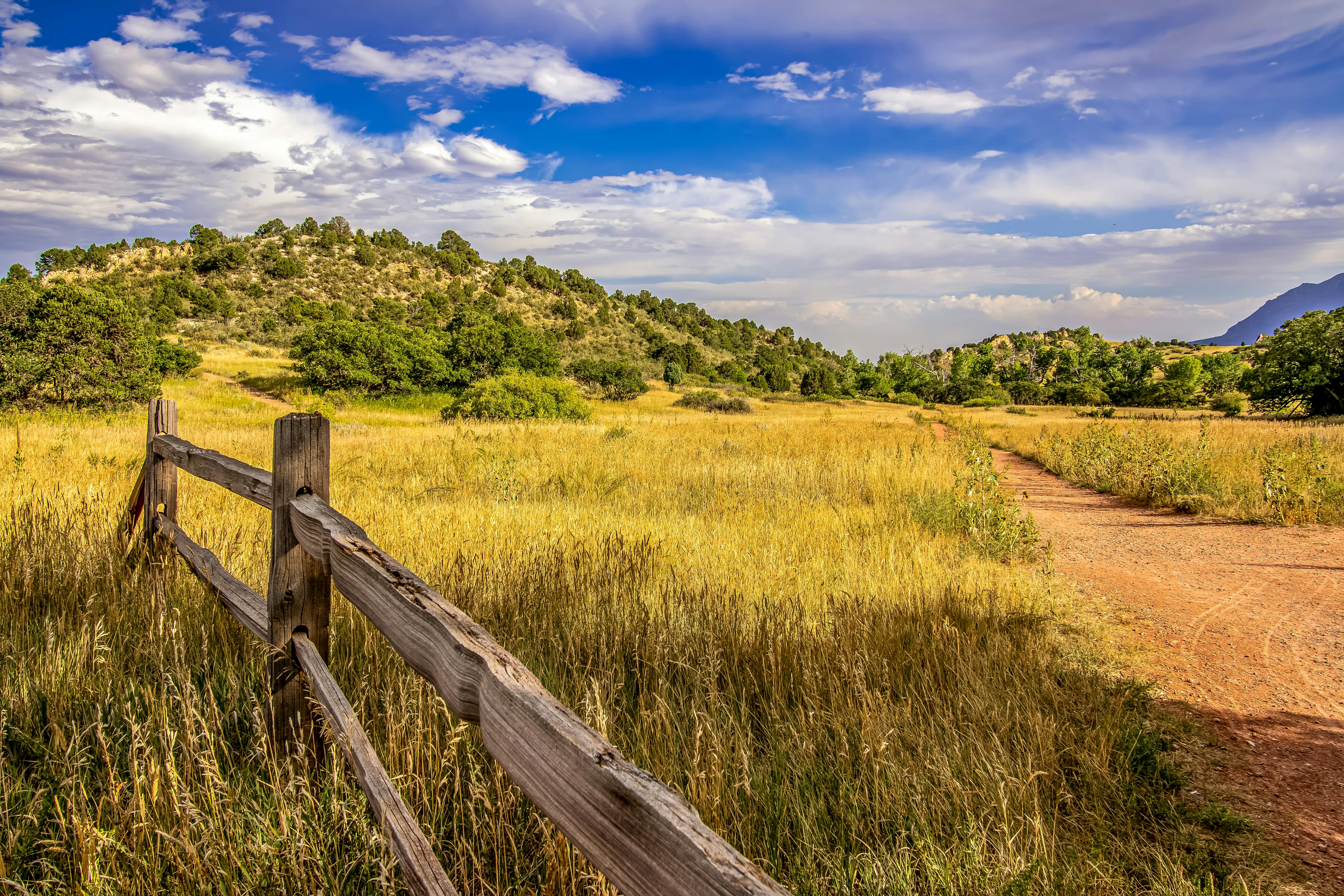 Colorado Springs Philharmonic's Free Concerts Bring Music to Parks