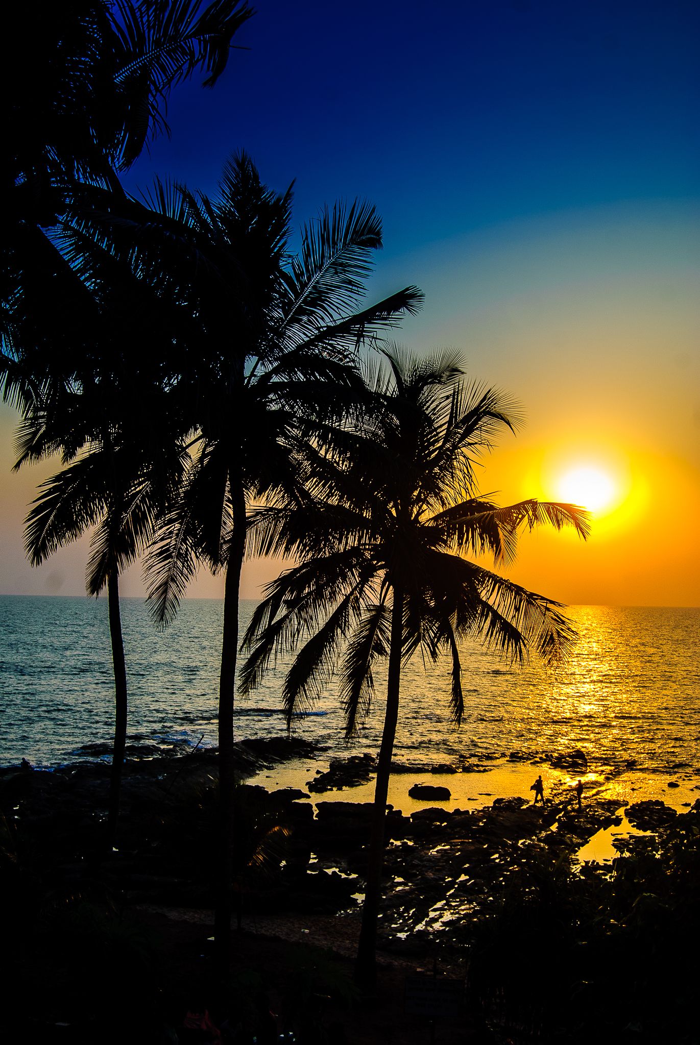 Free stock photo of gunbir, monsoon glory