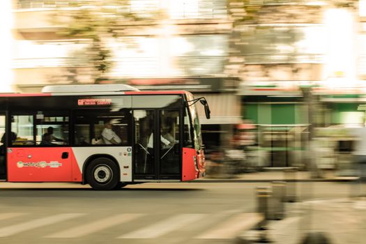 Ottawa Auditor Warns Councillors Are Blocking OC Transpo Improvements