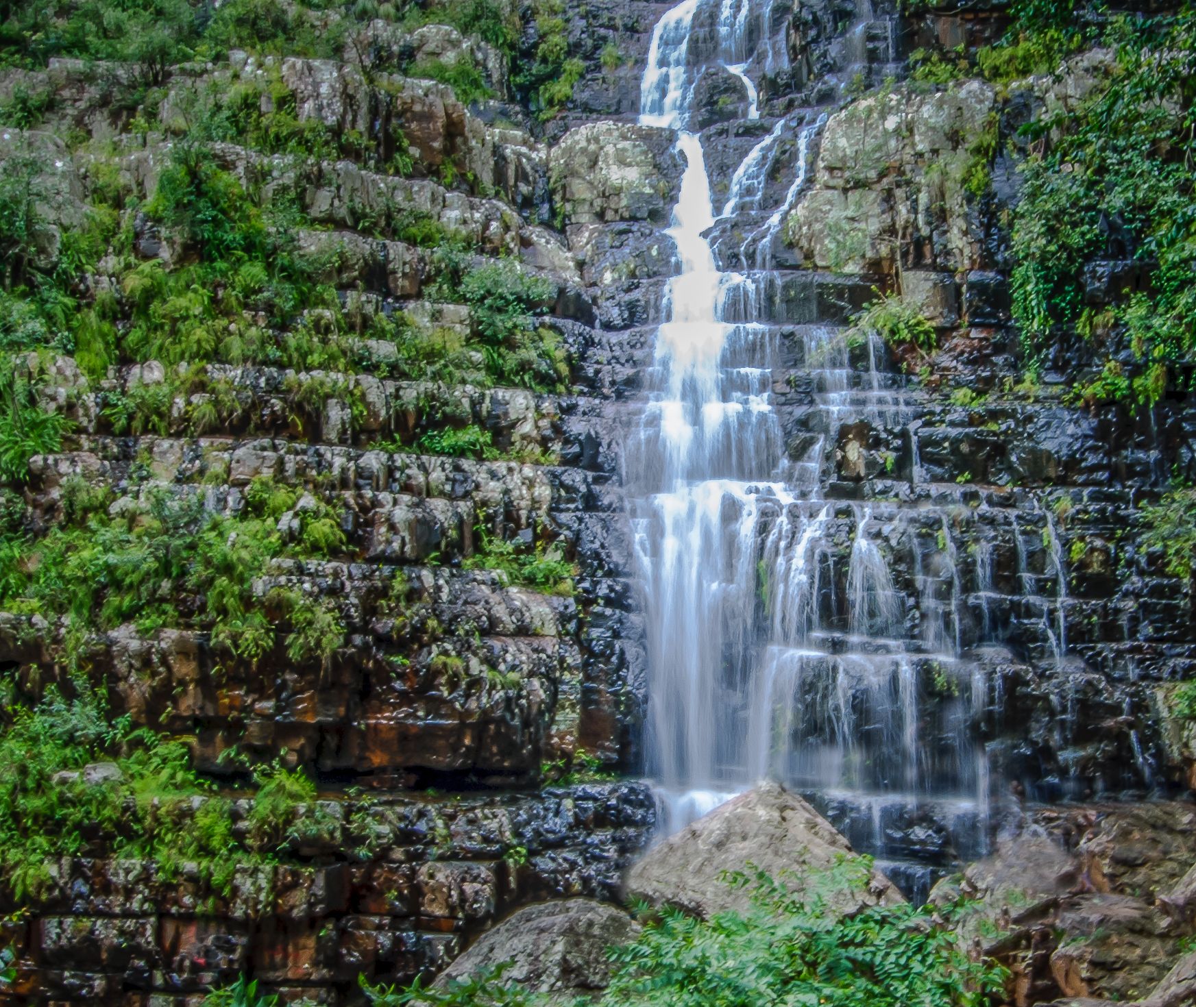 Free stock photo of gunbir, monsoon glory