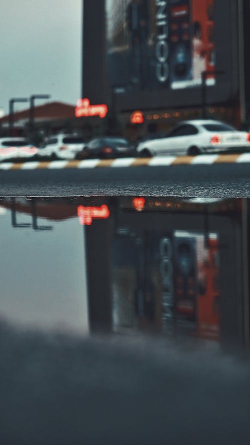 Free stock photo of cars, puddle, road