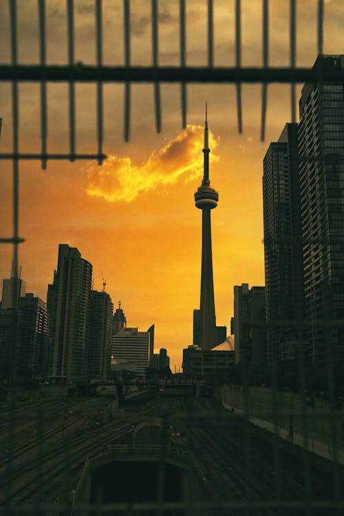 Free Downtown Toronto with View of the CN Tower at Sunset  Stock Photo