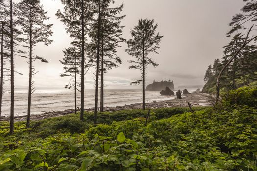 Beautiful view of Cannon Beach, Oregon, featuring misty trees and ocean waves.