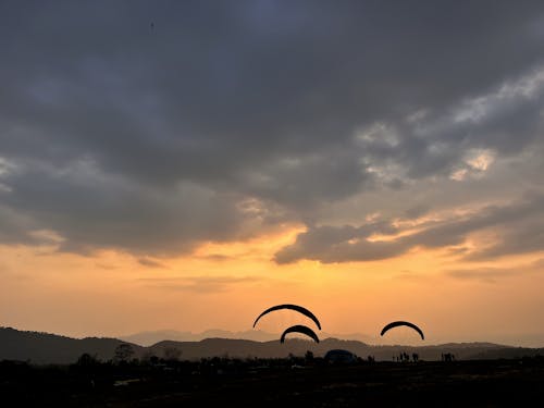 Free stock photo of air sports, dusk, golden sunset