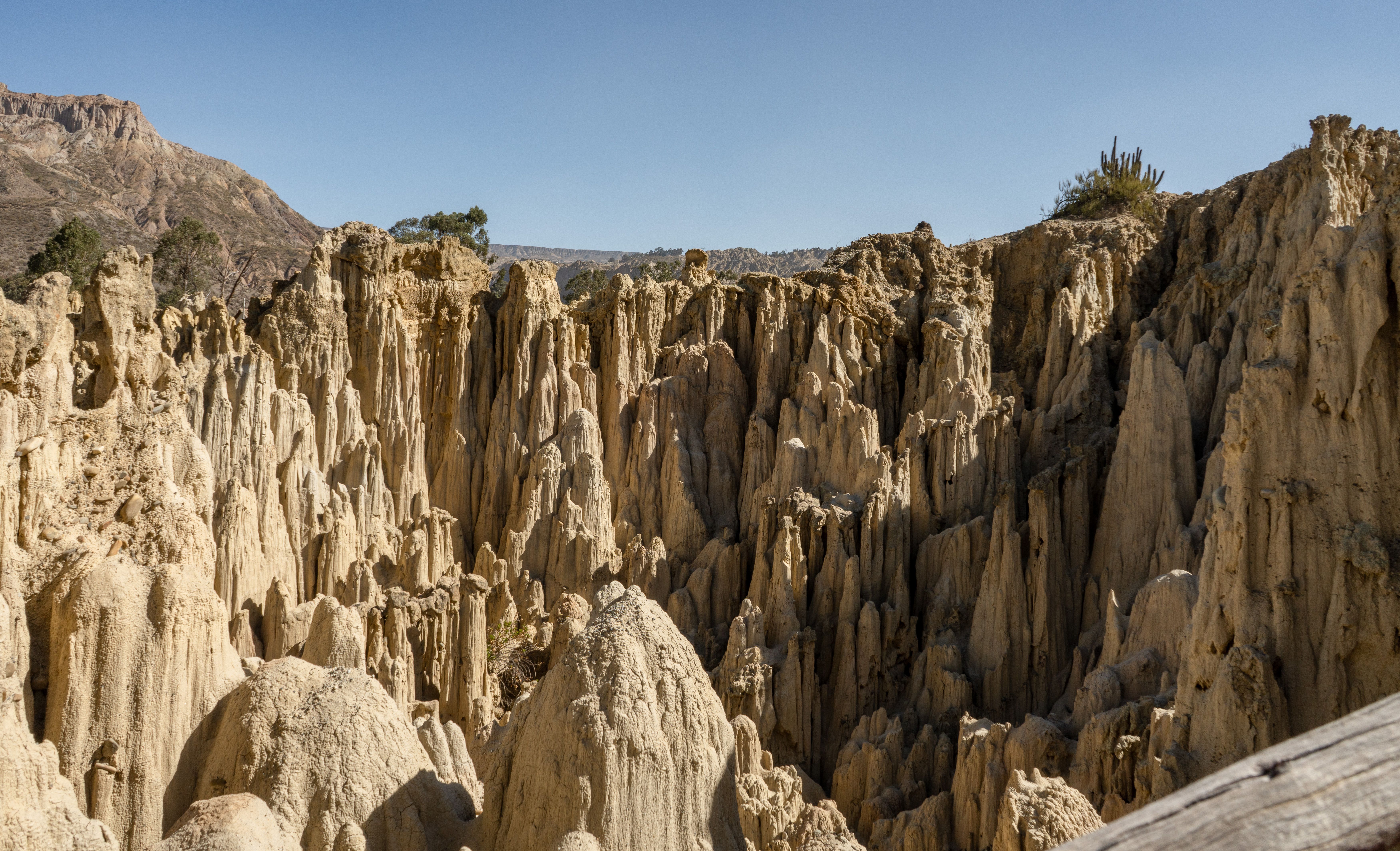 Hoces del Río Riaza Natural Park