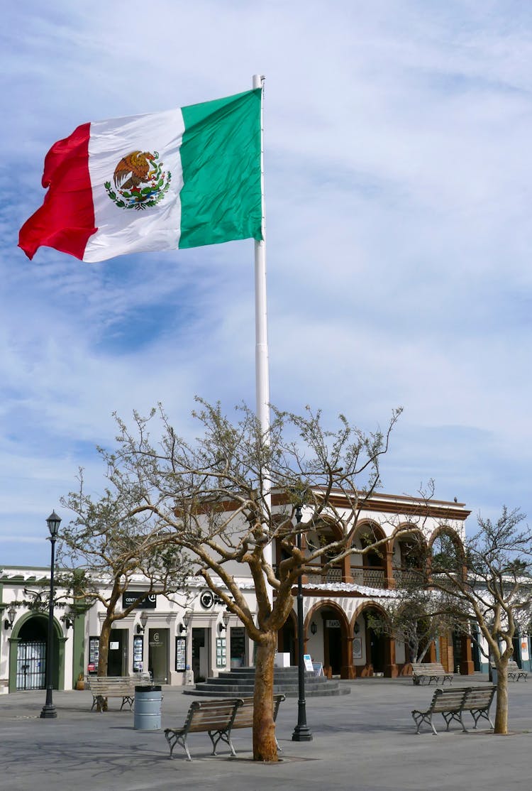 Mexican Flag On Square