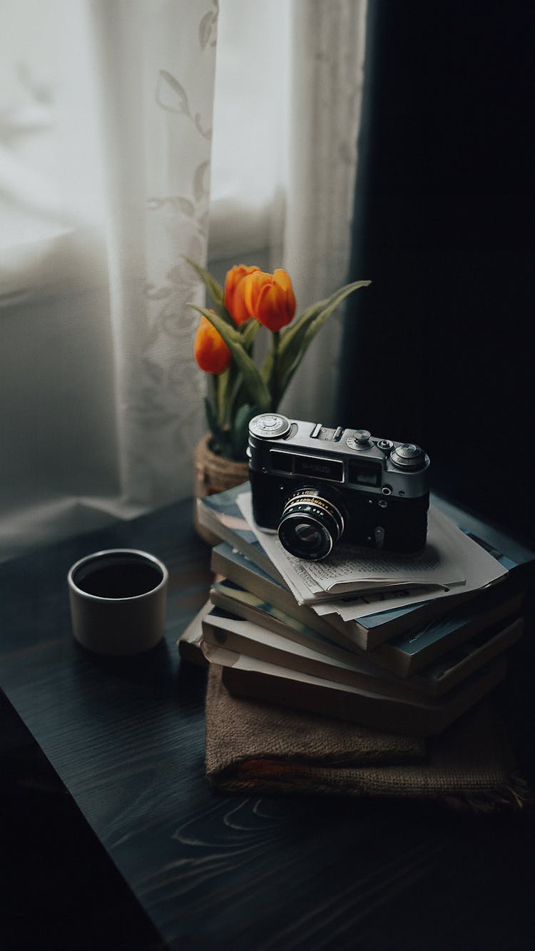 Vintage Camera On Books