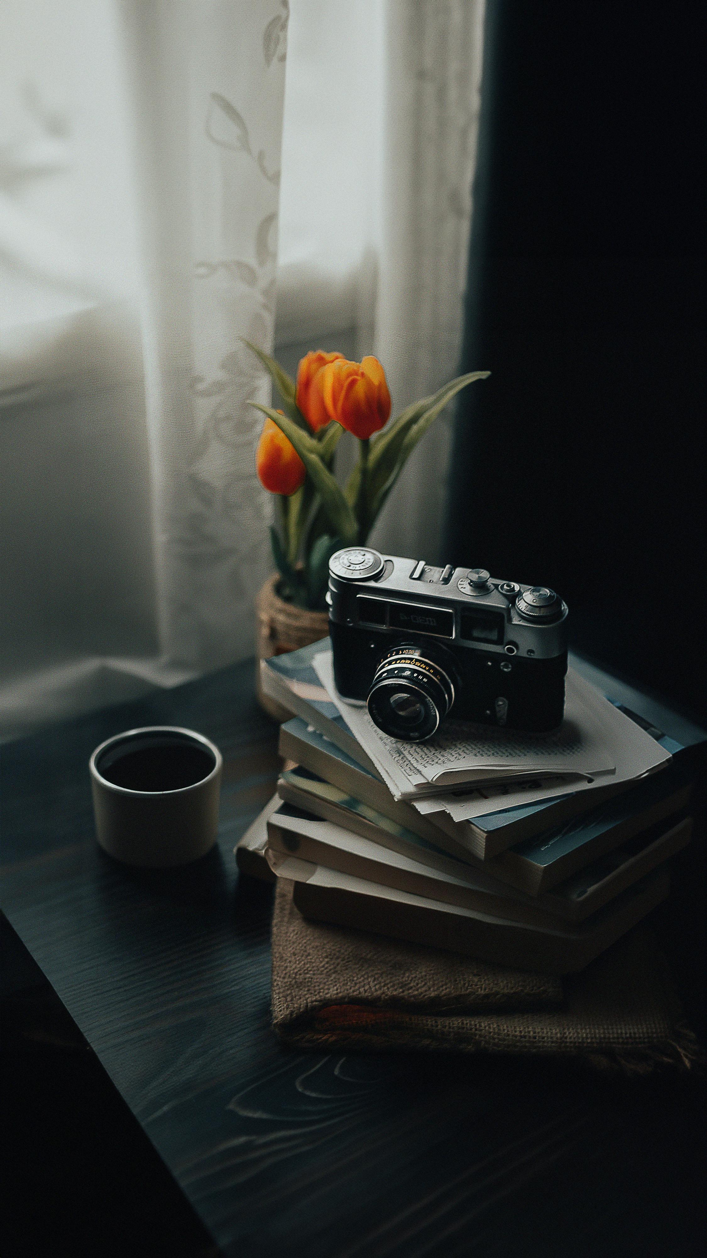 Vintage Camera on Books · Free Stock Photo