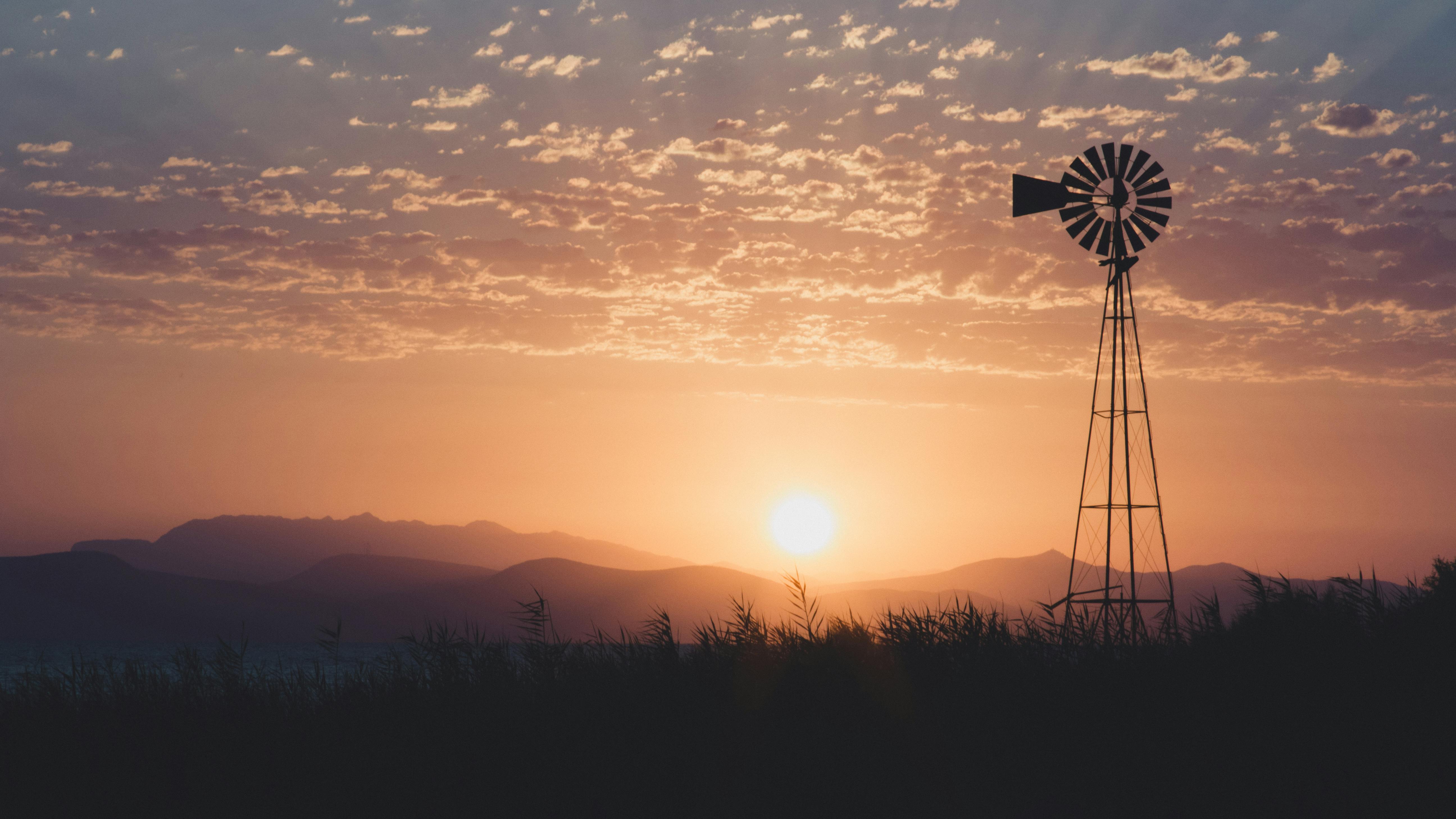 Windmill Flower Field Live Wallpaper - MoeWalls