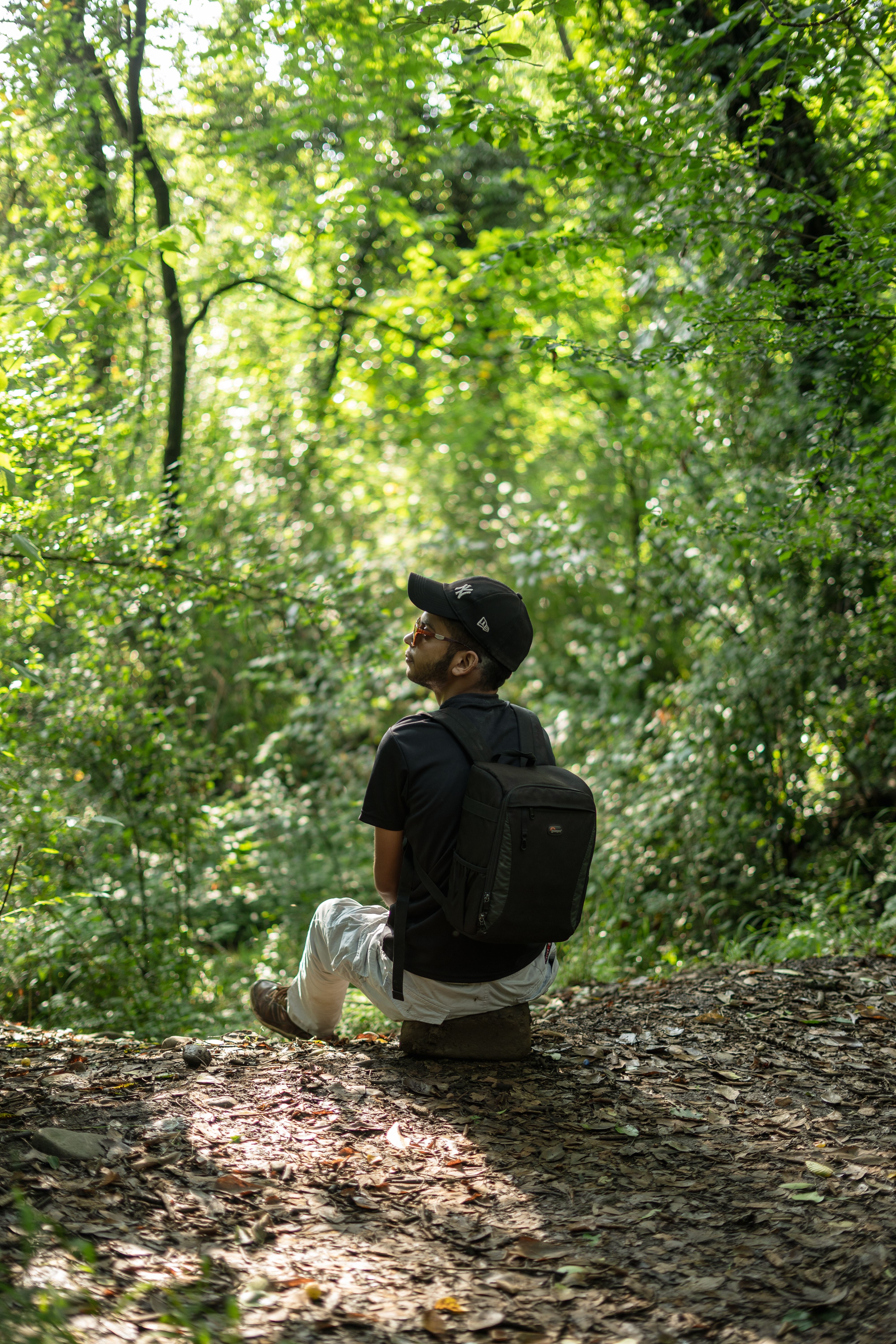Man Sitting on a Path Among Trees · Free Stock Photo