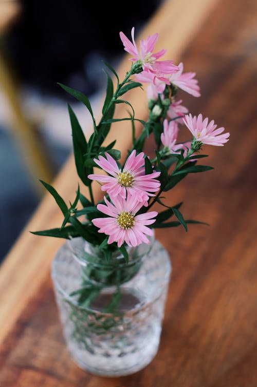 과꽃, 꽃다발, 꽃병의 무료 스톡 사진