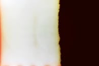 Close up of Stain on Polaroid Picture