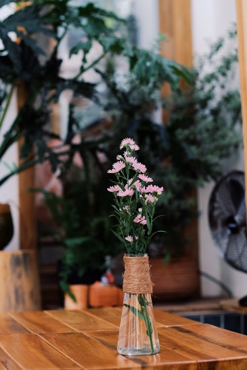Fotobanka s bezplatnými fotkami na tému dekorácia, drevený, izbové rastliny