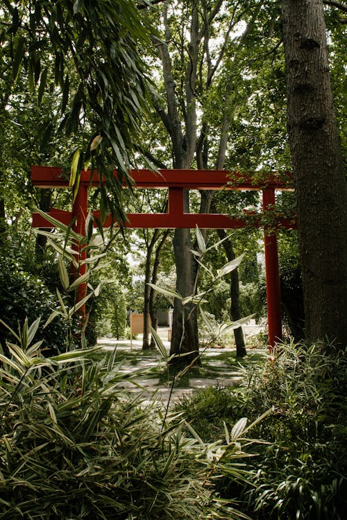 Lush Foliage and a Wooden Construction in a Park