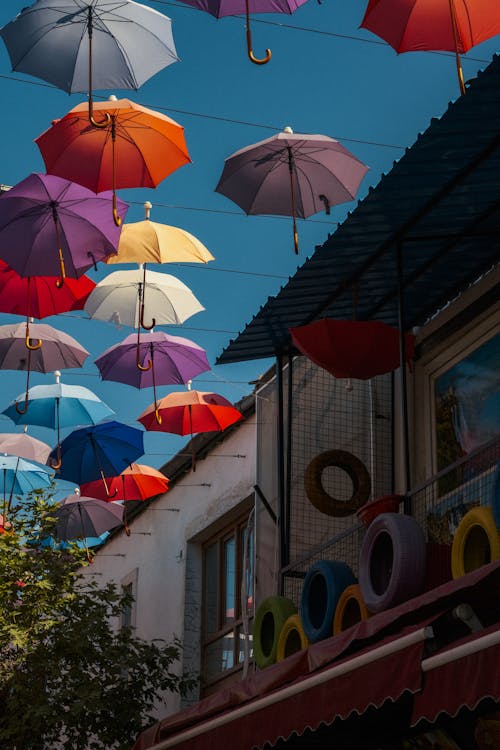 View of Colorful Umbrellas Hanging above a Street in City 