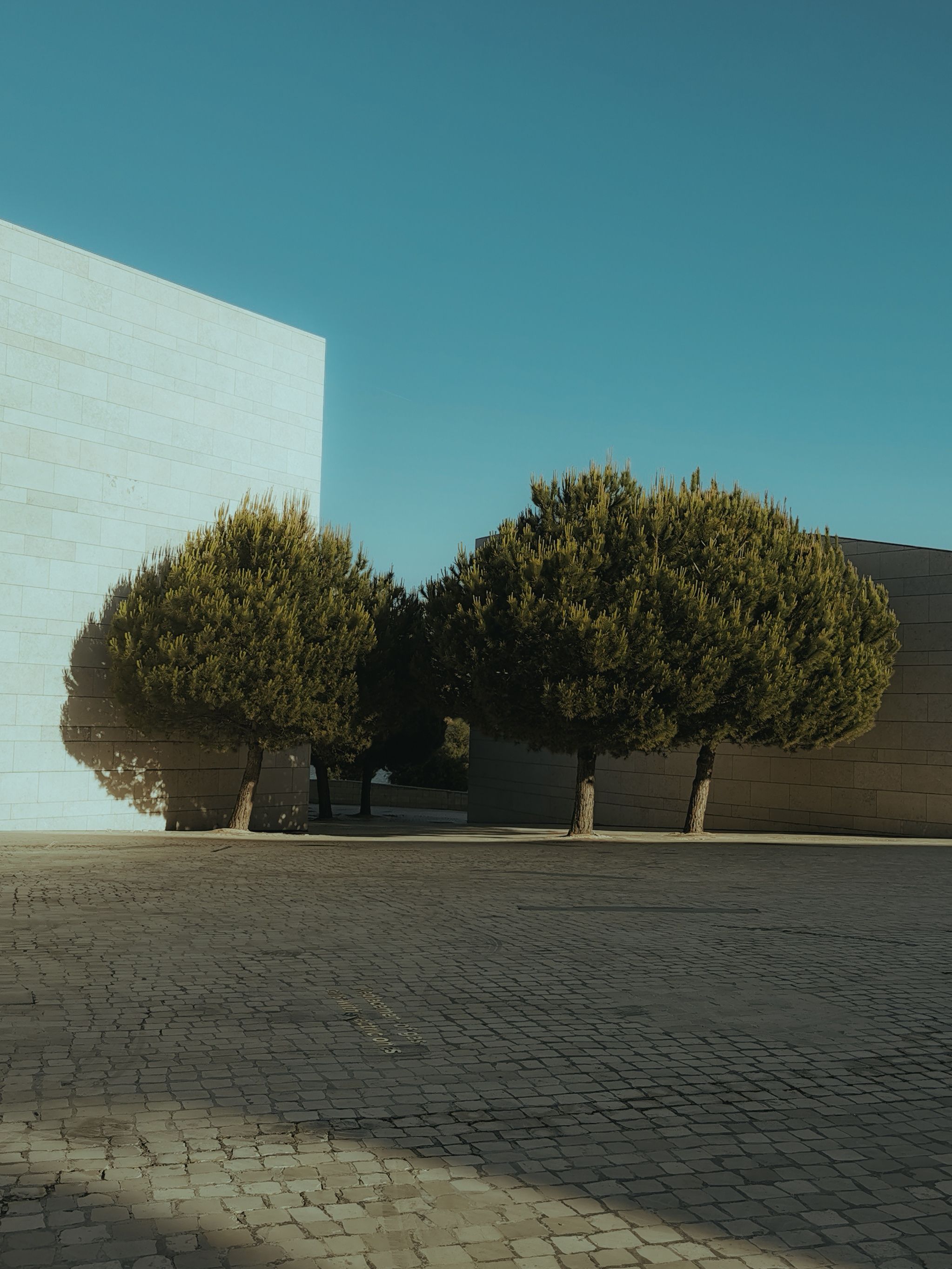 Trees in Front of a Modern Building · Free Stock Photo