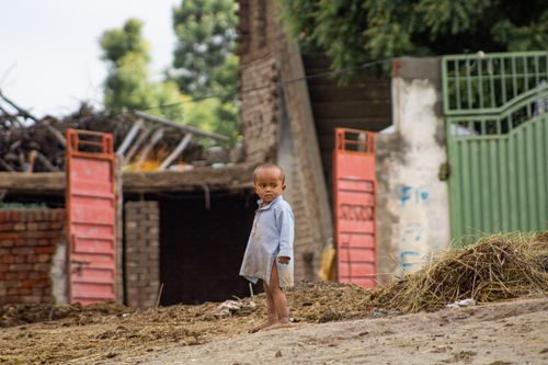 Free A young child stands in a rustic courtyard surrounded by gates and foliage, exuding innocence and curiosity. Stock Photo