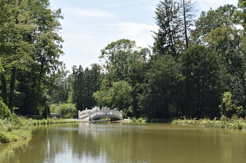 Bridge in a Park by the River 