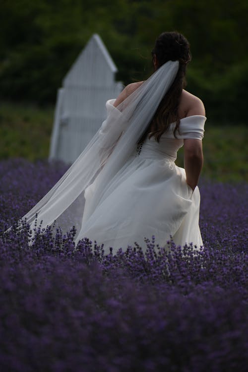 Bride Walking among Lavender Flowers