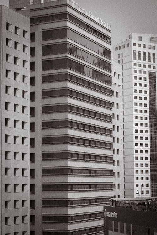 Základová fotografie zdarma na téma architektura, budovy, černobílý