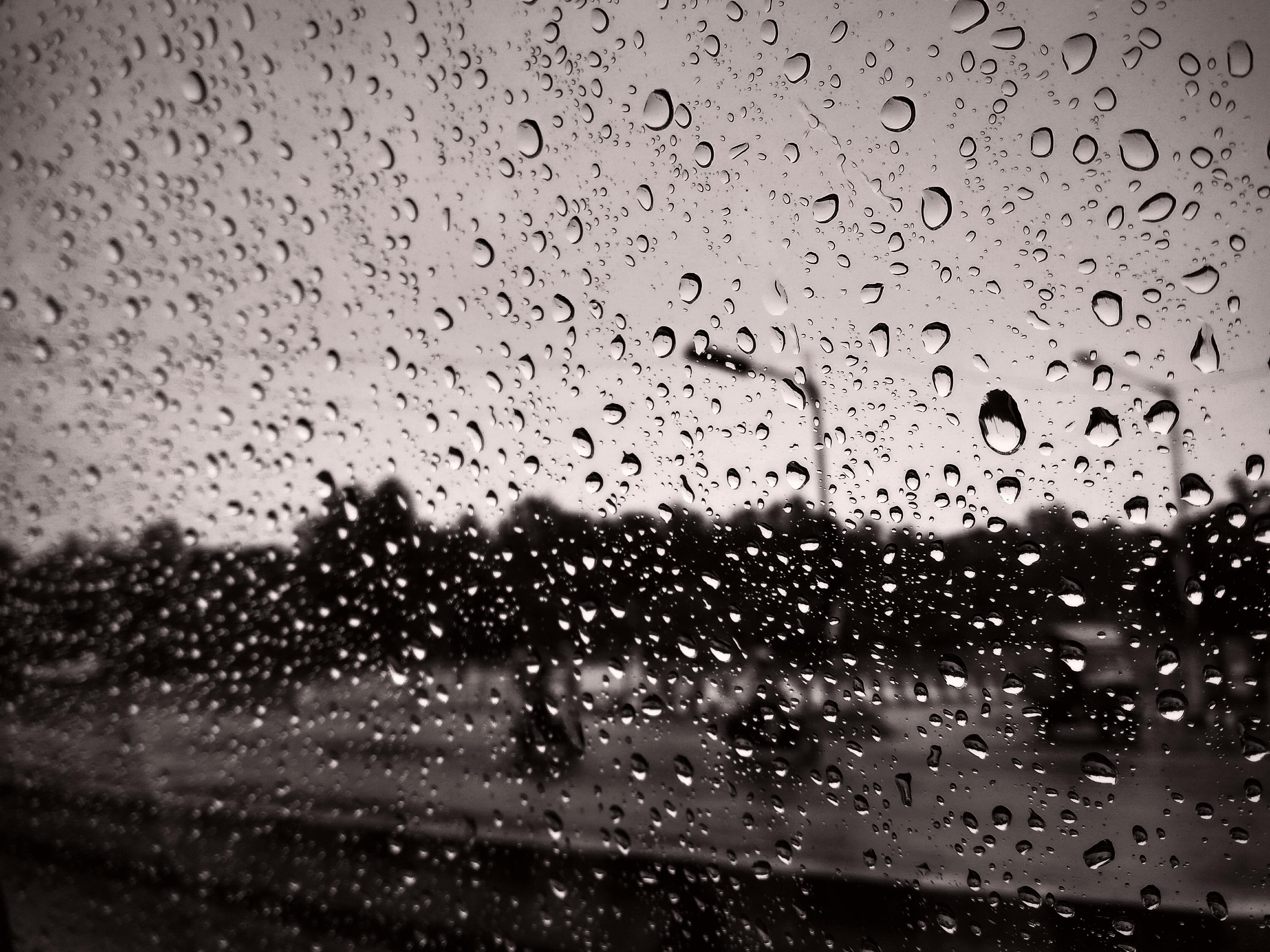 Free stock photo of beautiful, raindrops, sepia