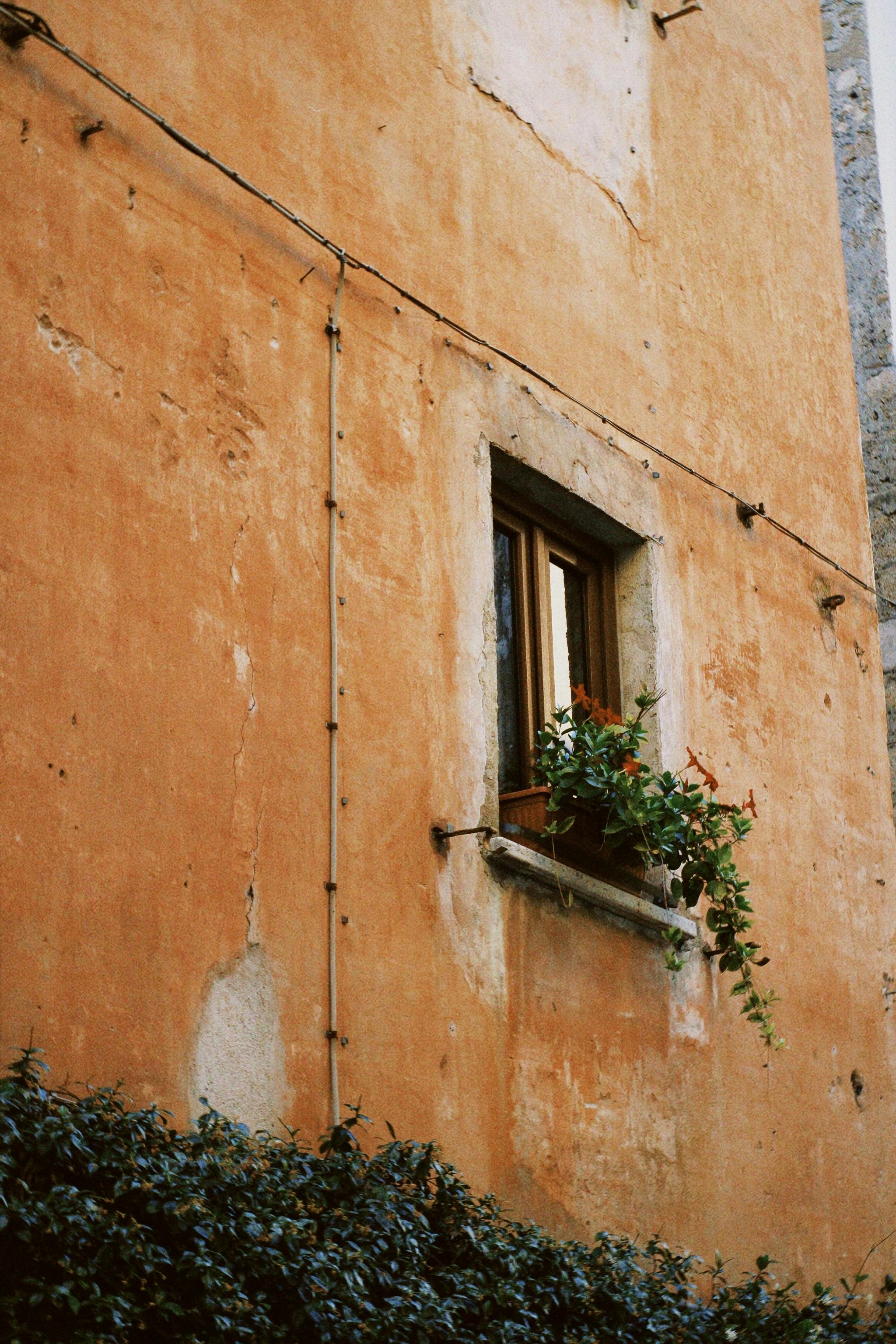 Charming weathered wall with a window and green plants, evoking a rustic ambiance.