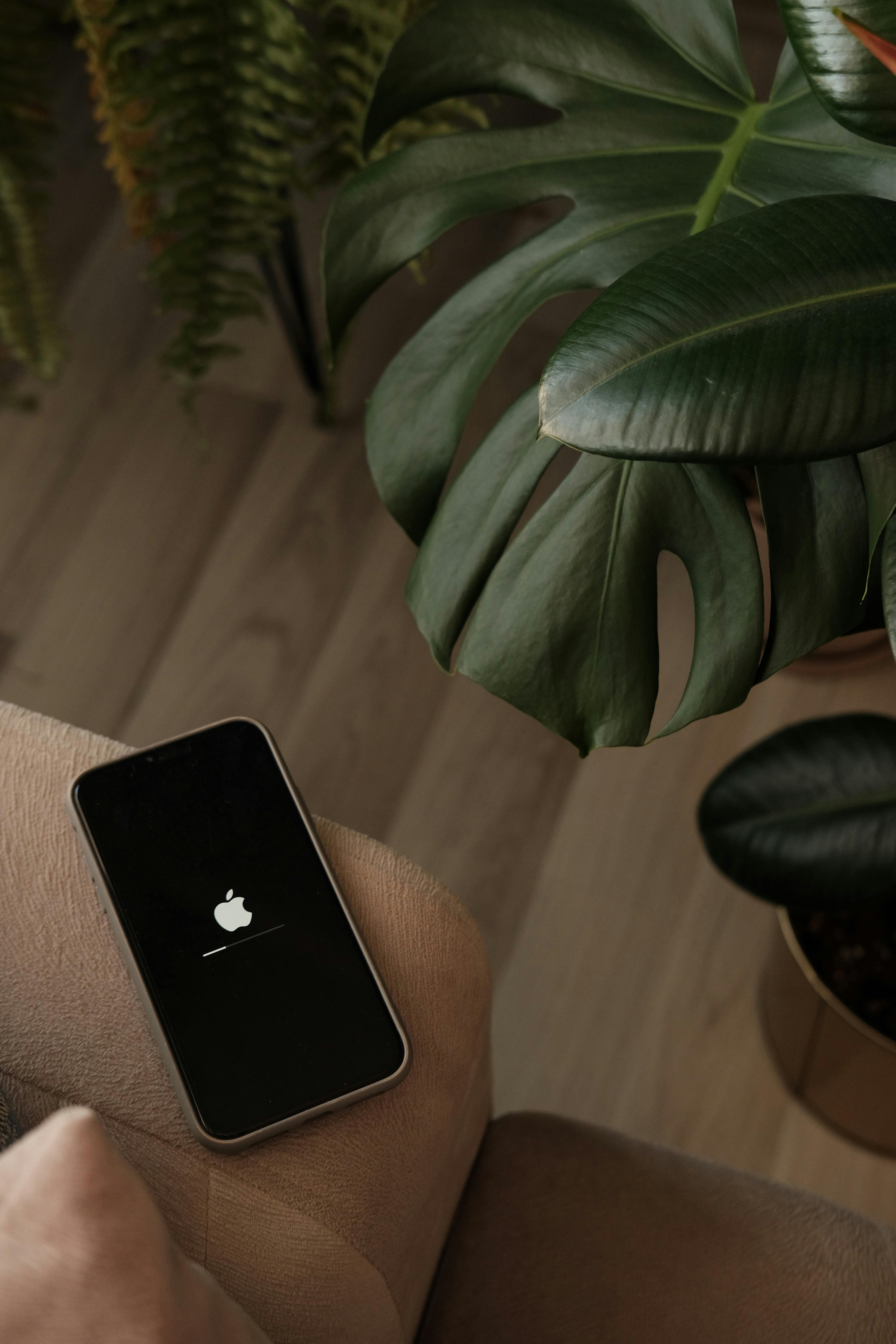 iPhoneの電源がつかない主な原因5選