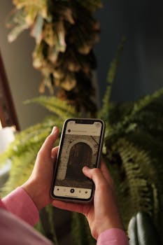Person holding a smartphone viewing an image indoors, surrounded by plants.