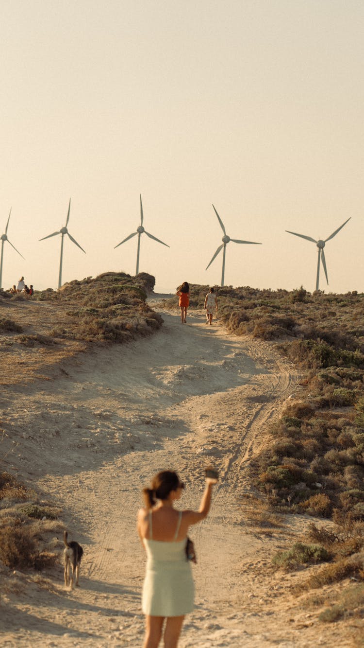 People Walking On Hill With Wind Turbines