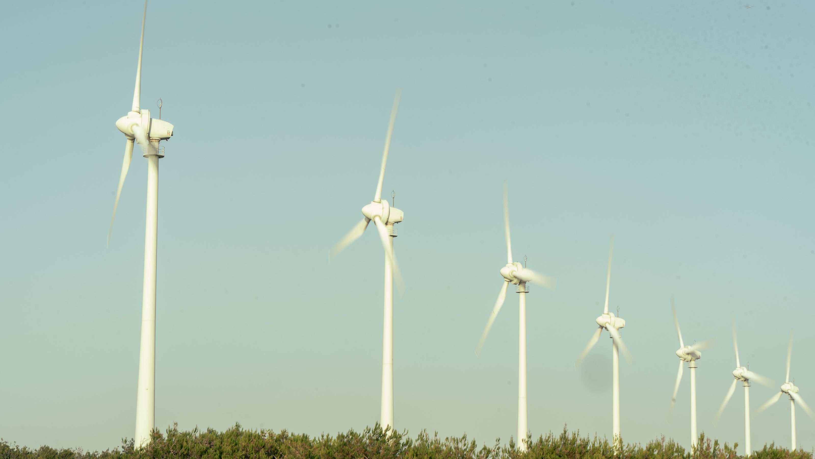 Row of wind turbines