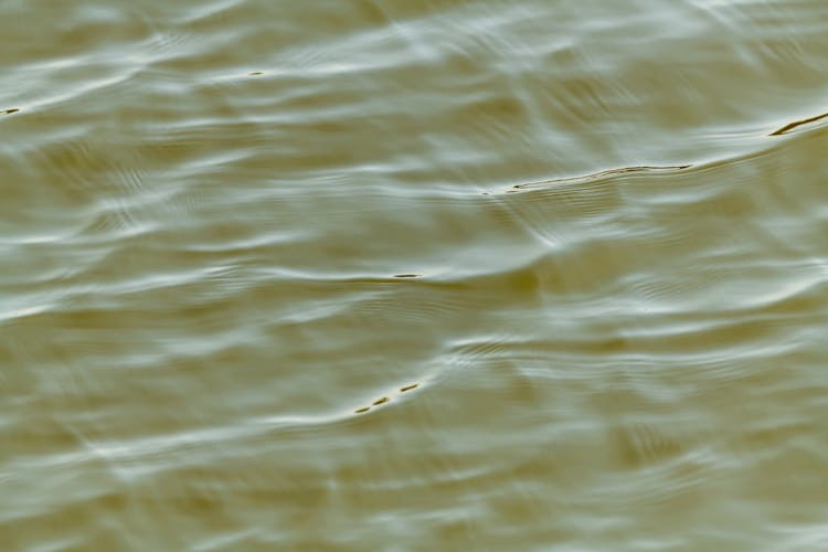 Ripples On Water