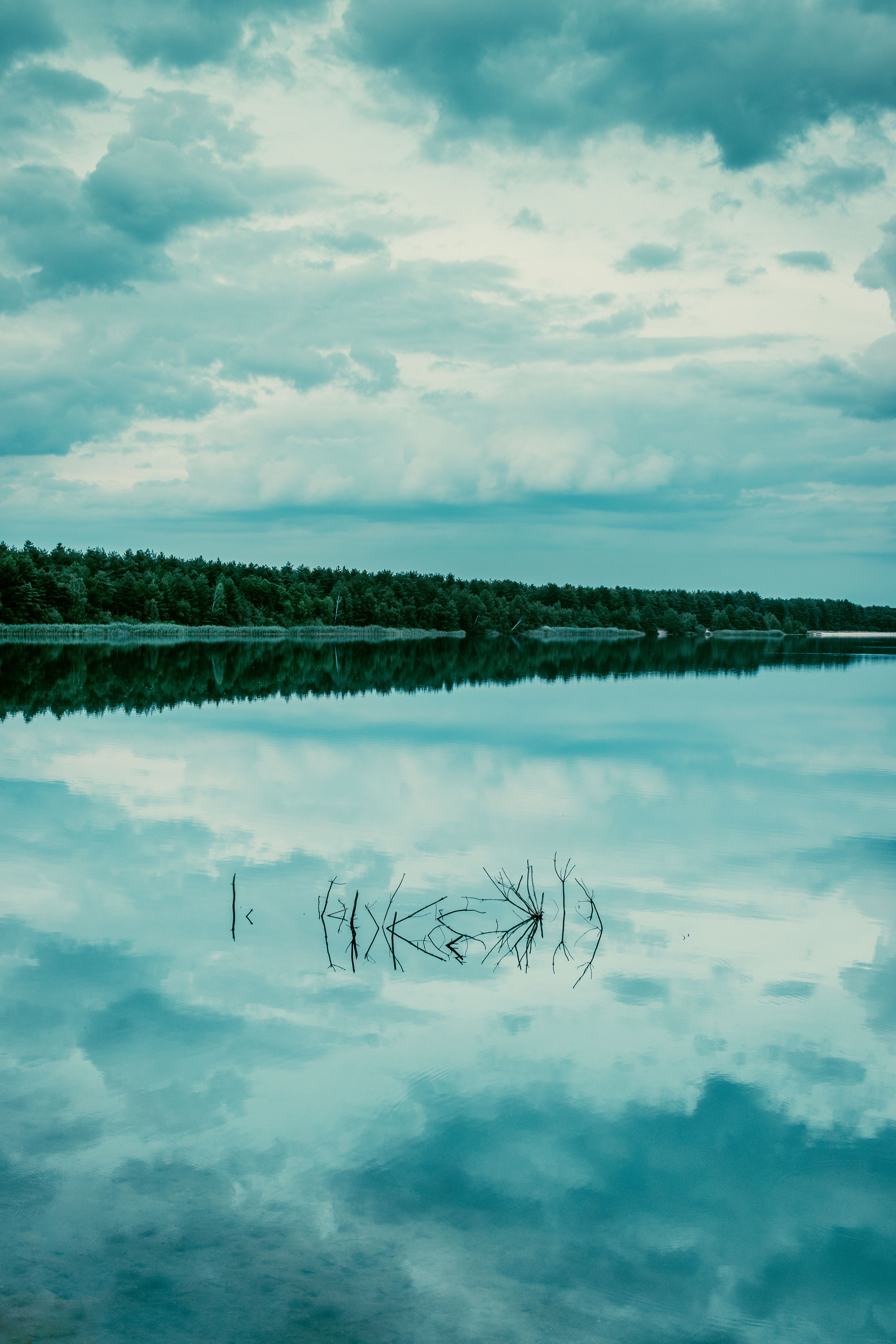 Fotomural Un lago forestal tranquilo refleja perfectamente un cielo nublado, creando una escena serena y pacífica.
