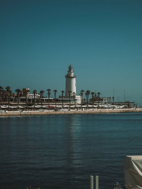 Discover the iconic Málaga lighthouse surrounded by palm trees and a serene sea view.