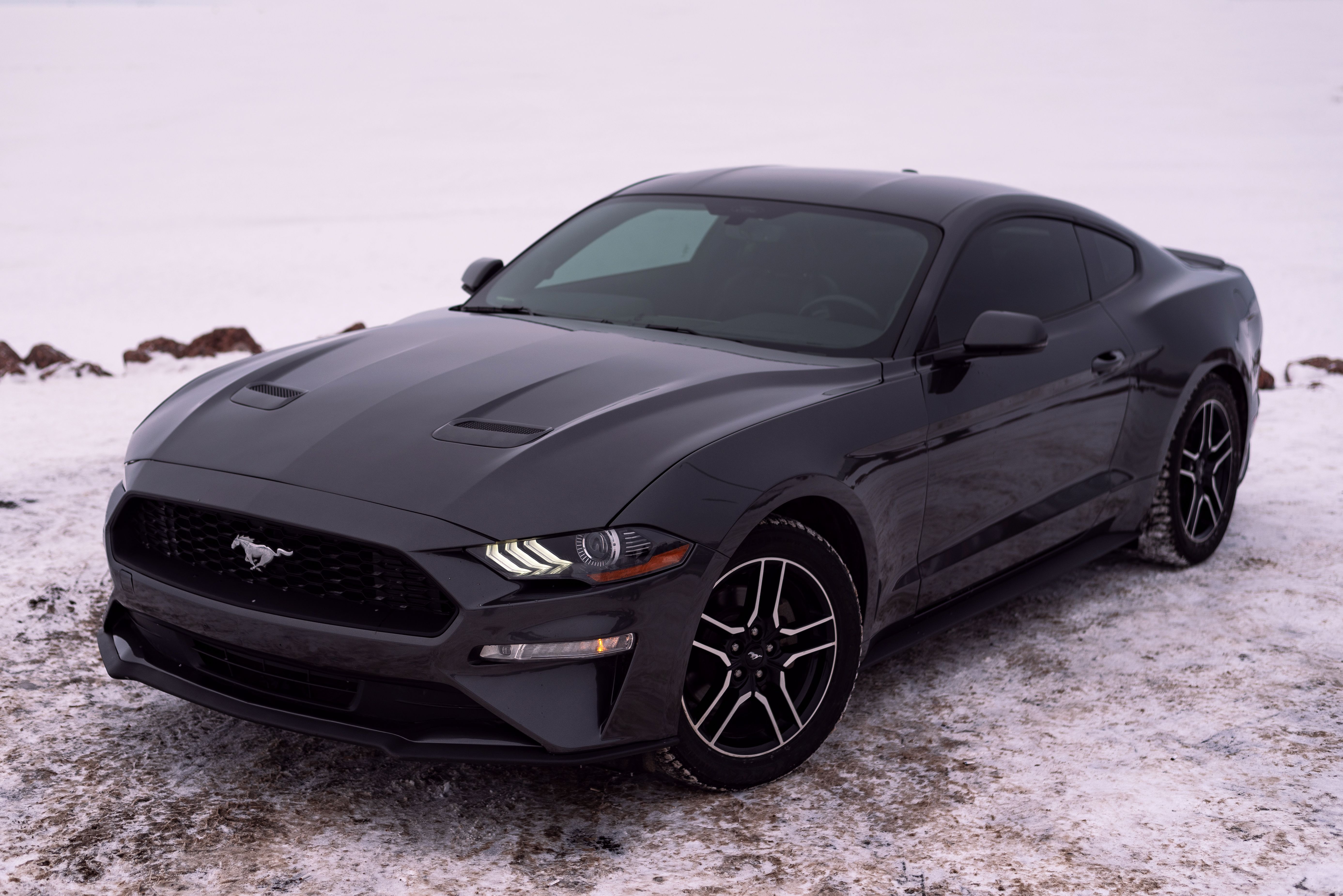Car Parked on Snow · Free Stock Photo