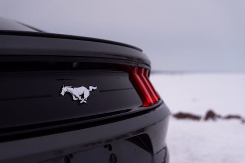 Car Trunk and Snow