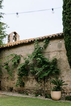 A rustic stone wall adorned with lush ivy and greenery, perfect for nature-themed designs.
