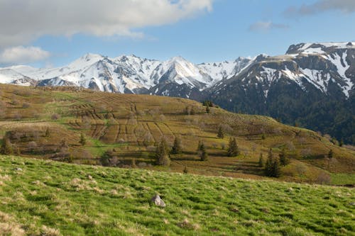 arazi, çimenlik, dağlar içeren Ücretsiz stok fotoğraf