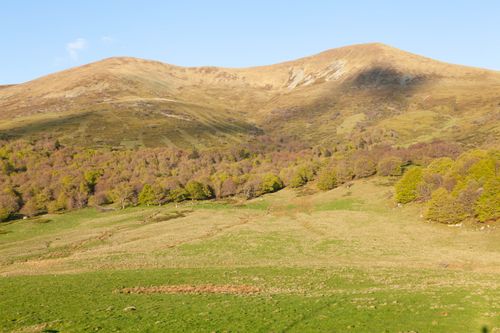 Free Serene view of rolling hills and forests in Mont-Dore, perfect for nature lovers. Stock Photo